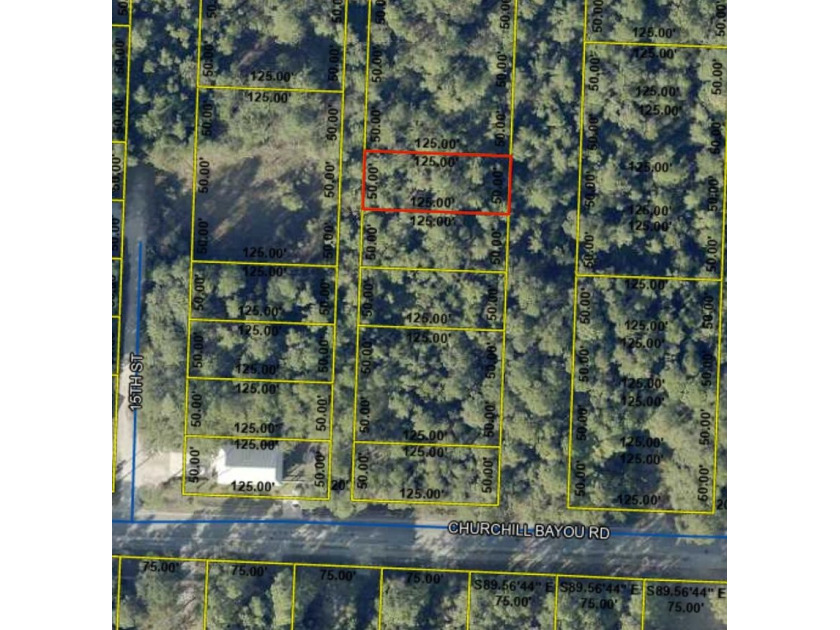 Unlock a world of possibilities on this expansive vacant lot - photo 2