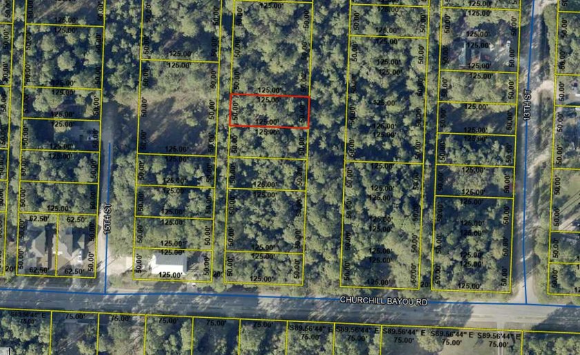 Unlock a world of possibilities on this expansive vacant lot - photo 3
