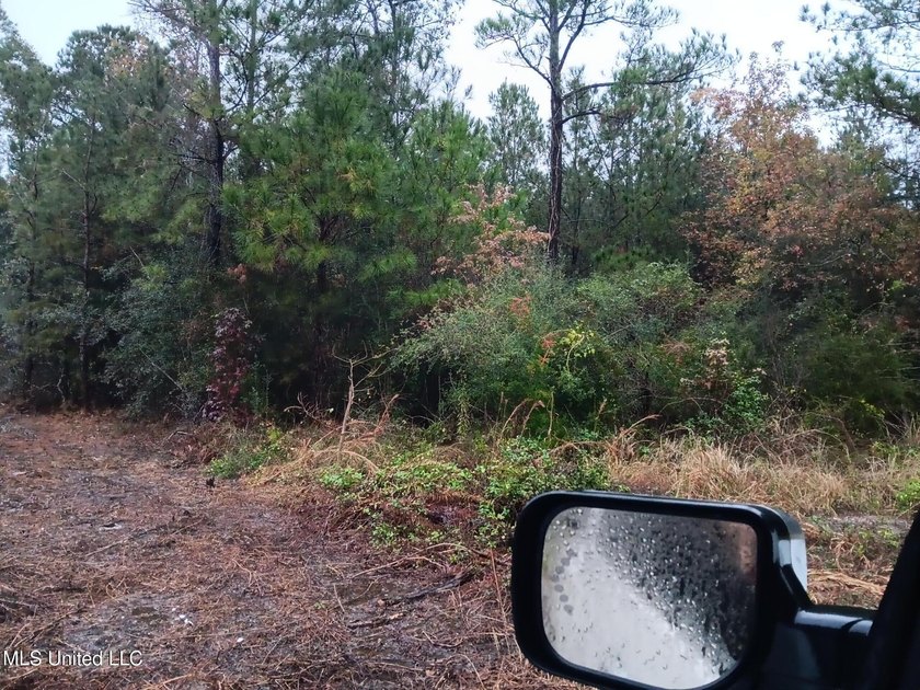 2 adjacent lots, lots 4 &amp; 5 ( both lots are buildable lots) - photo 2