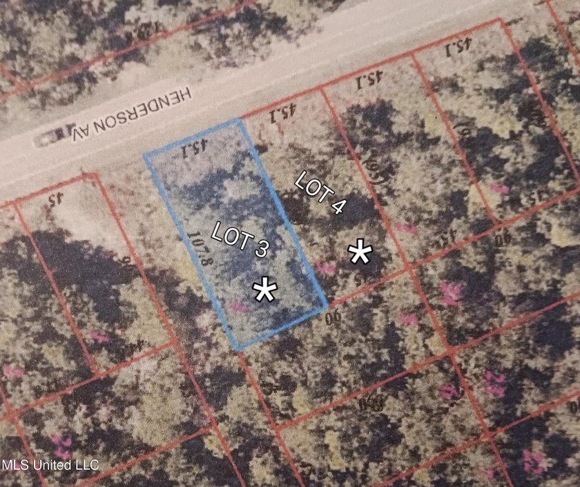 2 adjacent lots, lots 4 &amp; 5 ( both lots are buildable lots) - photo 3