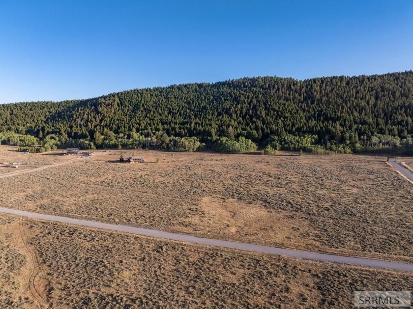 Own your own piece of paradise near pristine Henry's Lake. These - photo 17