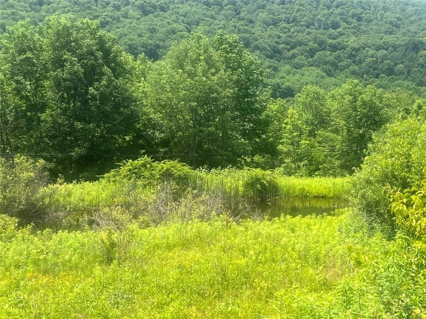 Seven acres straddling the town line between Delhi and Bovina - photo 5