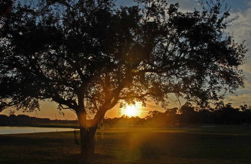 DeBordieu Colony - Introducing a remarkable opportunity to own a - photo 44