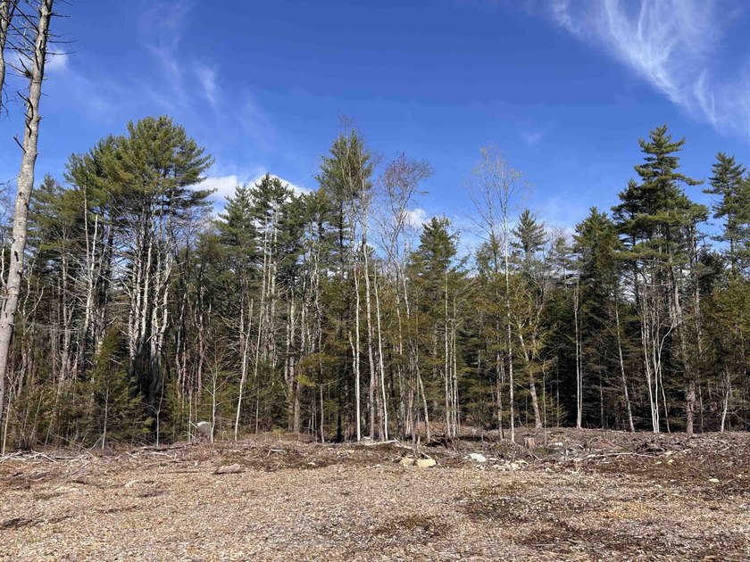 This 23.5 acre residential building lot is ready for your next - photo 3
