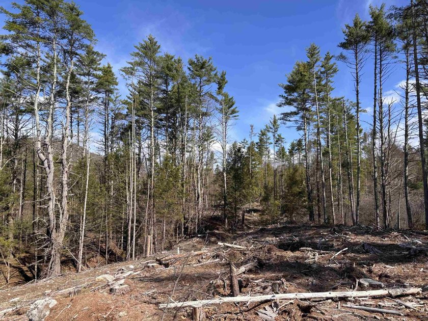 This 23.5 acre residential building lot is ready for your next - photo 5
