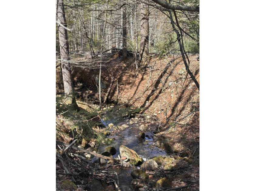 This 23.5 acre residential building lot is ready for your next - photo 6