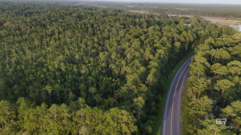 Discover a unique opportunity to own beautiful wooded acreage in - photo 2