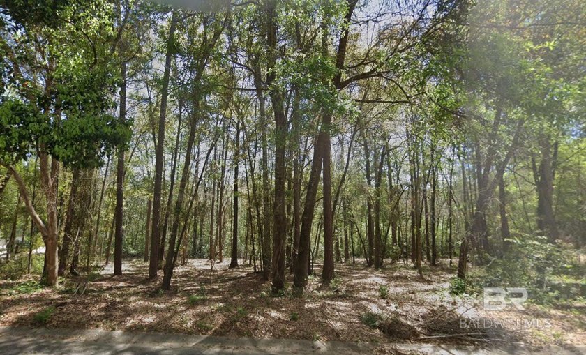 Build your dream home in the highly sought-after Rock Creek - photo 3