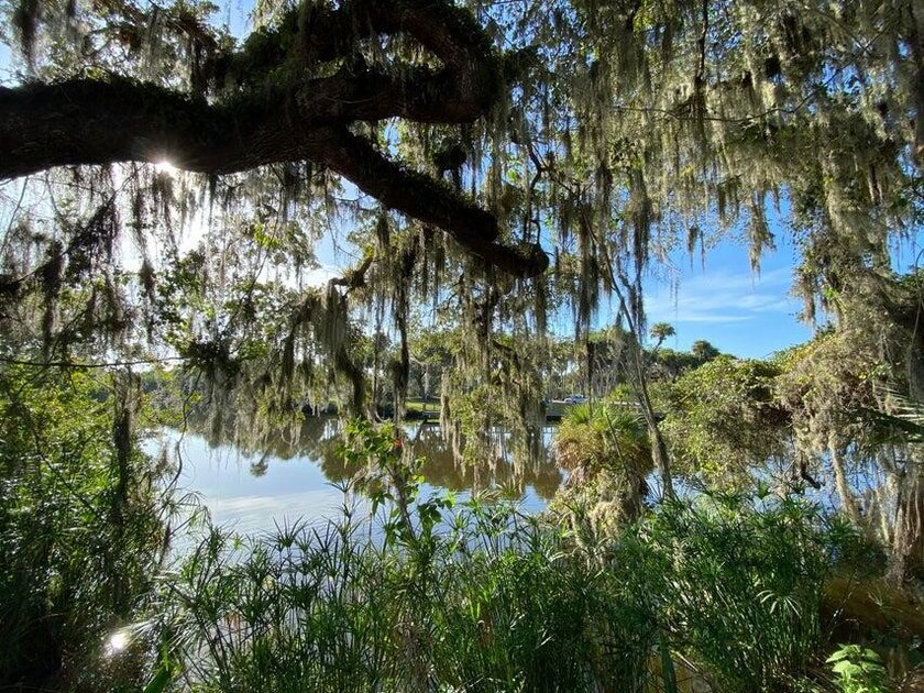 Unlock the potential of this unique 2.1-acre waterfront - photo 5