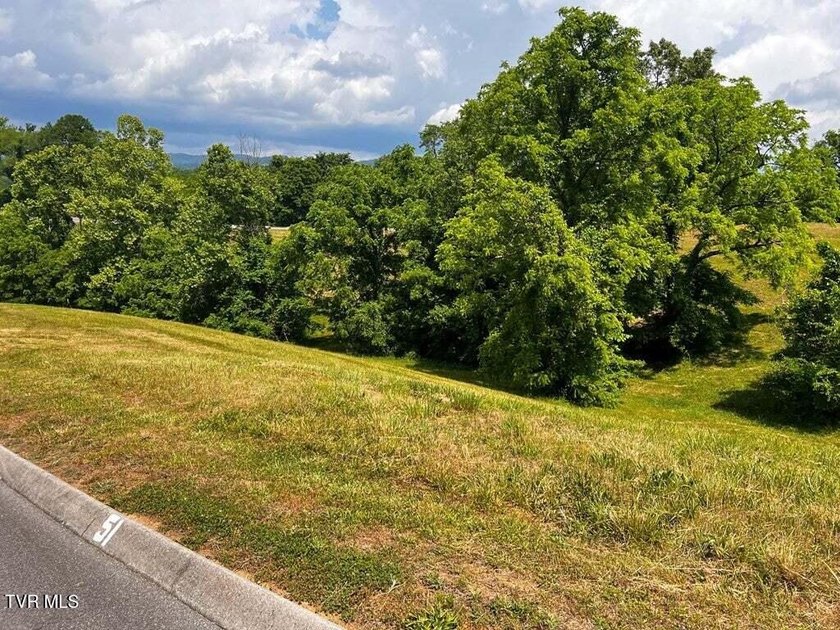 Beautiful build lot with AMAZING LAKE AND MOUNTAIN VIEWS and a - photo 3