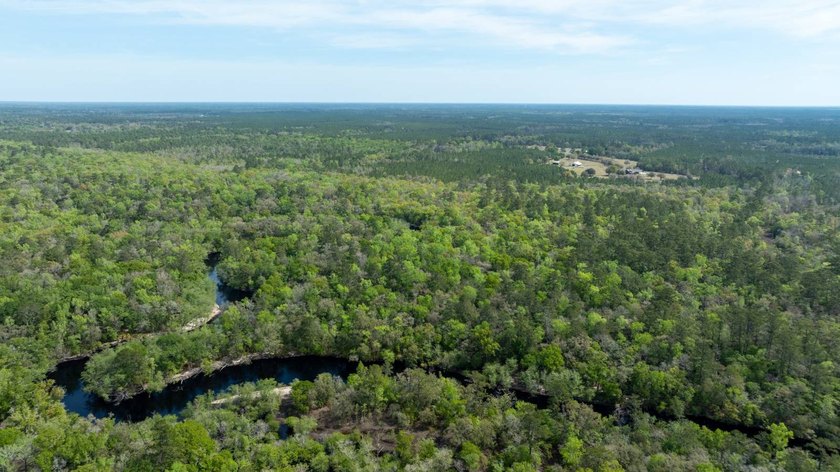 This riverfront property features an expansive, custom log home - photo 40