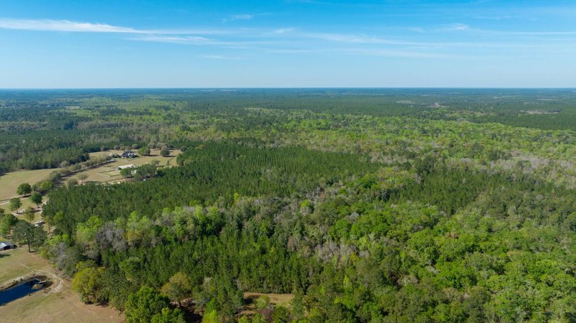 This riverfront property features an expansive, custom log home - photo 49