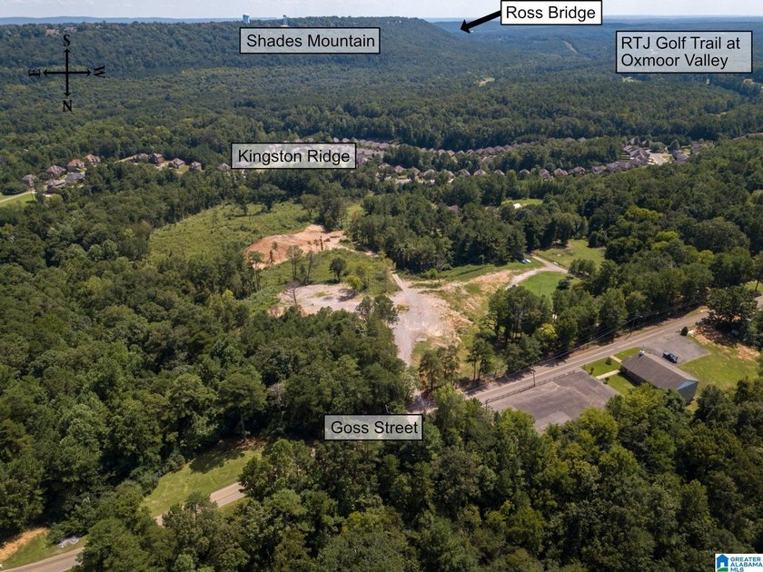 Excellent Opportunity to develop in a PRIME area of the growing - photo 14