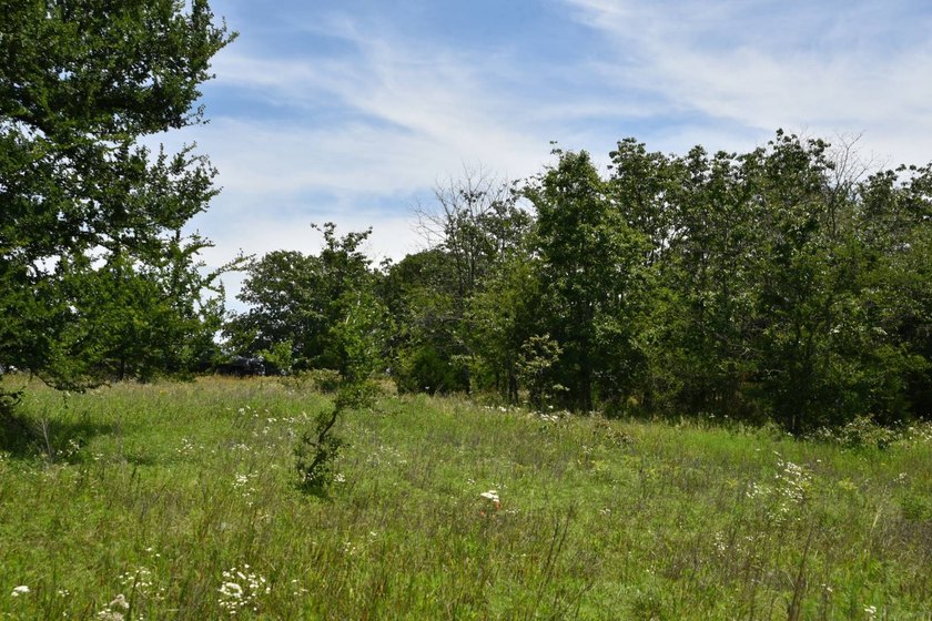 Discover the perfect blend of privacy, recreation, and future - photo 2
