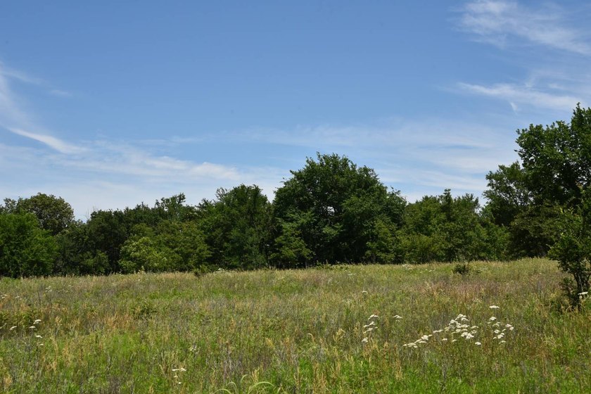 Discover the perfect blend of privacy, recreation, and future - photo 3
