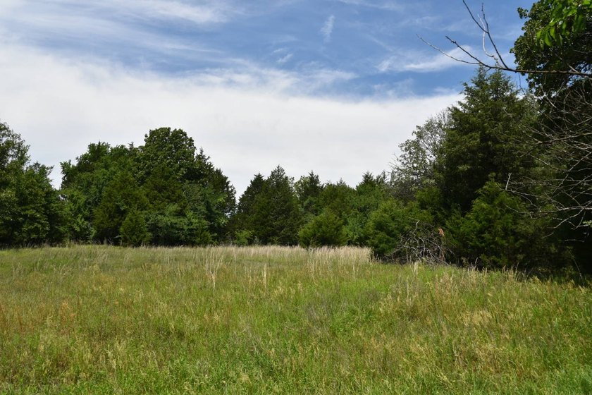 Discover the perfect blend of privacy, recreation, and future - photo 4