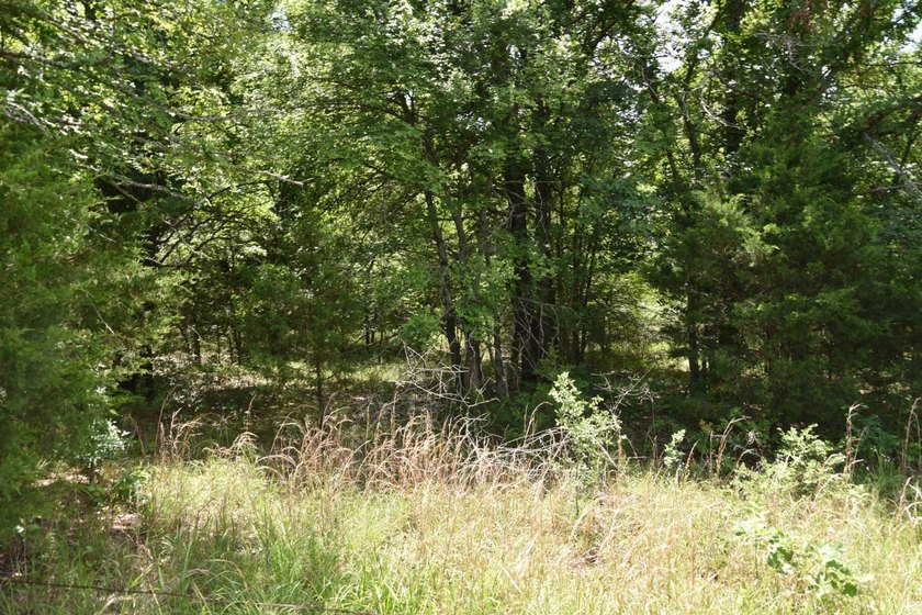Discover the perfect blend of privacy, recreation, and future - photo 8