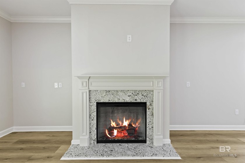 Gold Fortified new construction in TimberCreek offering 2,320 - photo 8