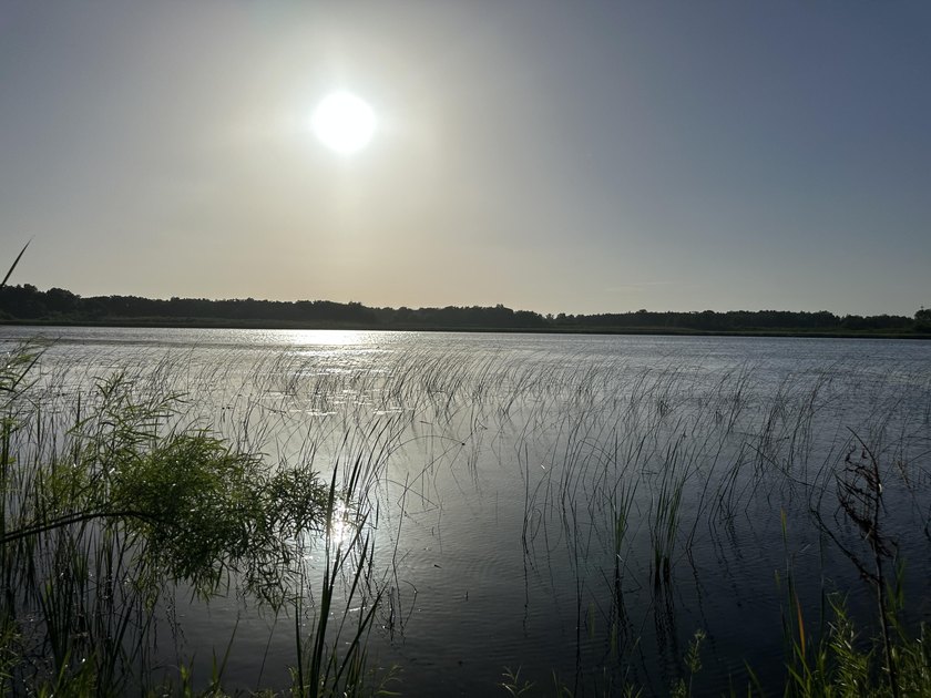 Enjoy peaceful living near Lake Ivanhoe! This charming 1-bedroom - photo 13