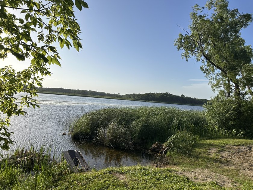Enjoy peaceful living near Lake Ivanhoe! This charming 1-bedroom - photo 14