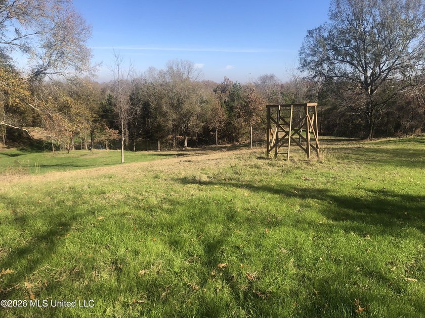 Discover the perfect blend of privacy, recreation, and potential - photo 18