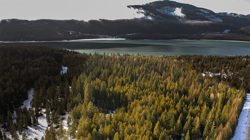 Don't miss this incredible Montana dream property along Noxon - photo 22
