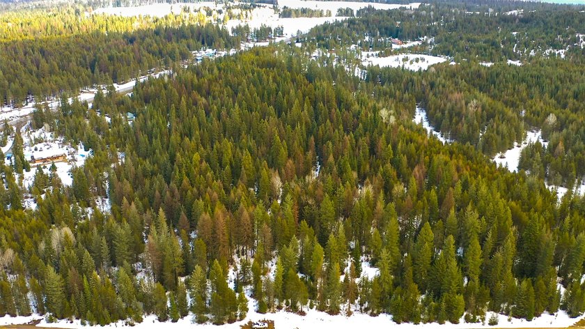 Don't miss this incredible Montana dream property along Noxon - photo 23