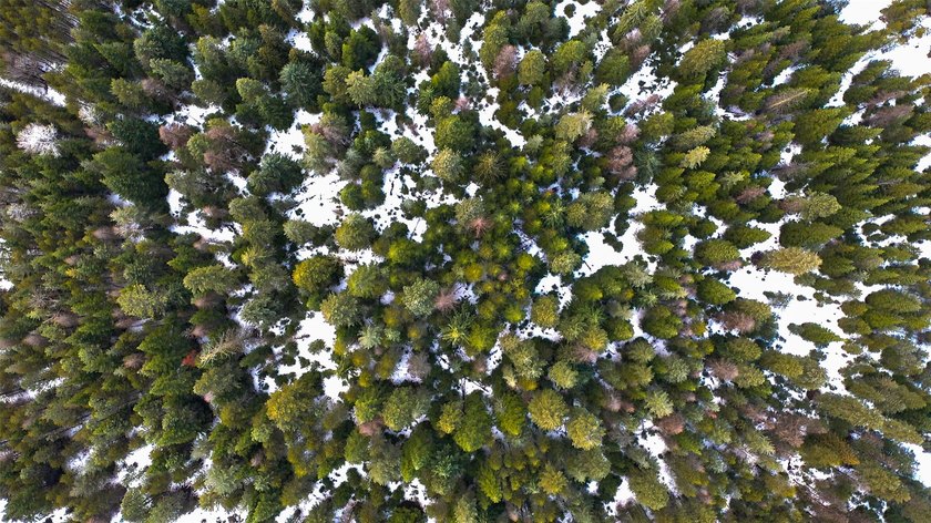 Don't miss this incredible Montana dream property along Noxon - photo 29