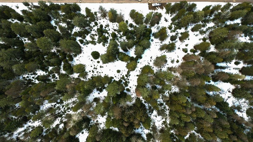 Don't miss this incredible Montana dream property along Noxon - photo 30