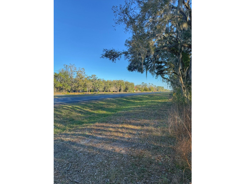 12 Acres in Perry, FL with US Hwy 19 frontage! This beautiful - photo 3