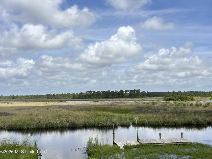 NONE OTHER LIKE THIS: This property is nestled in a quiet and - photo 38