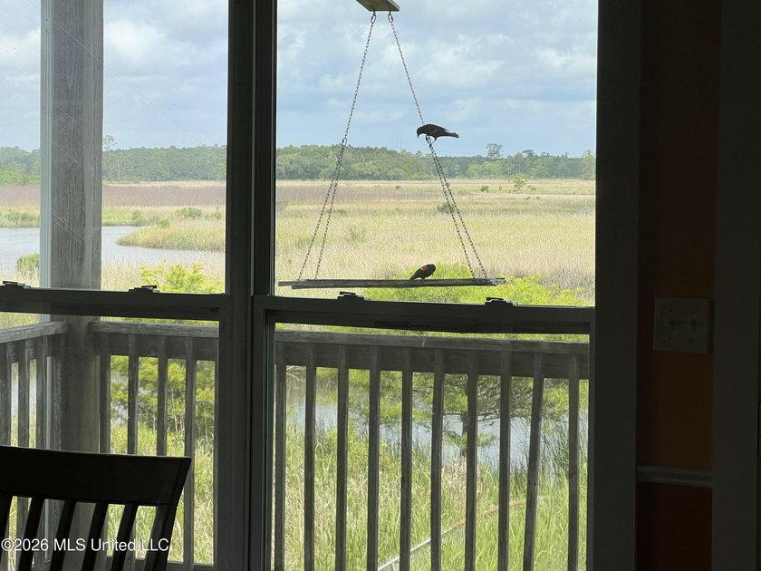 NONE OTHER LIKE THIS: This property is nestled in a quiet and - photo 41