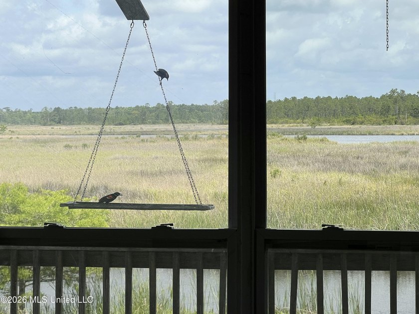 NONE OTHER LIKE THIS: This property is nestled in a quiet and - photo 43