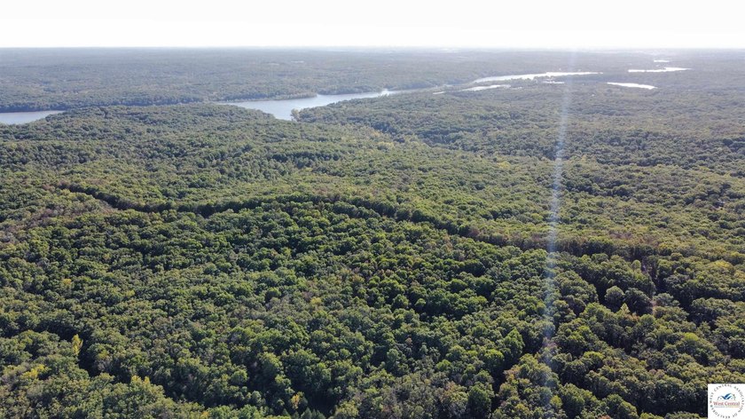 The property featured 80 +/- acres with more available for - photo 5