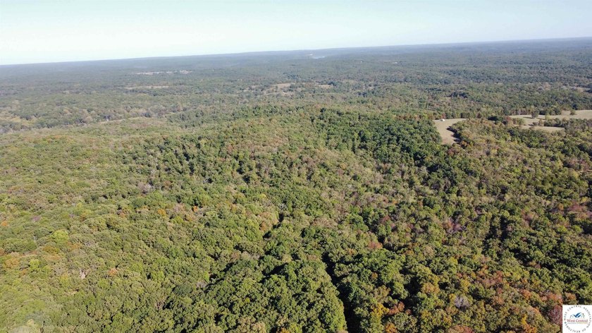 The property featured 80 +/- acres with more available for - photo 7