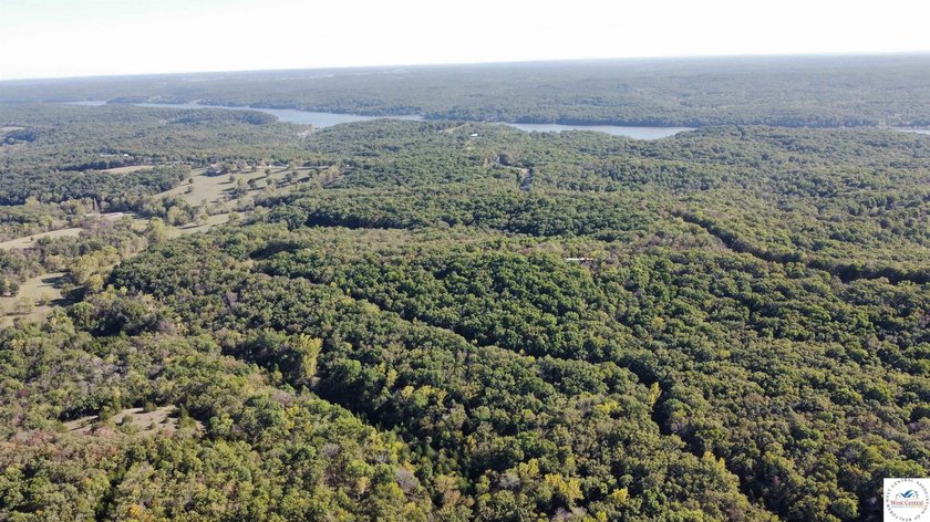 The property featured 80 +/- acres with more available for - photo 8