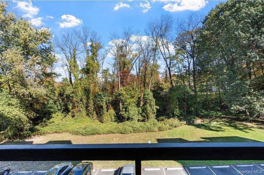 Investor friendly building. Charming 1-Bedroom Condo with a - photo 13