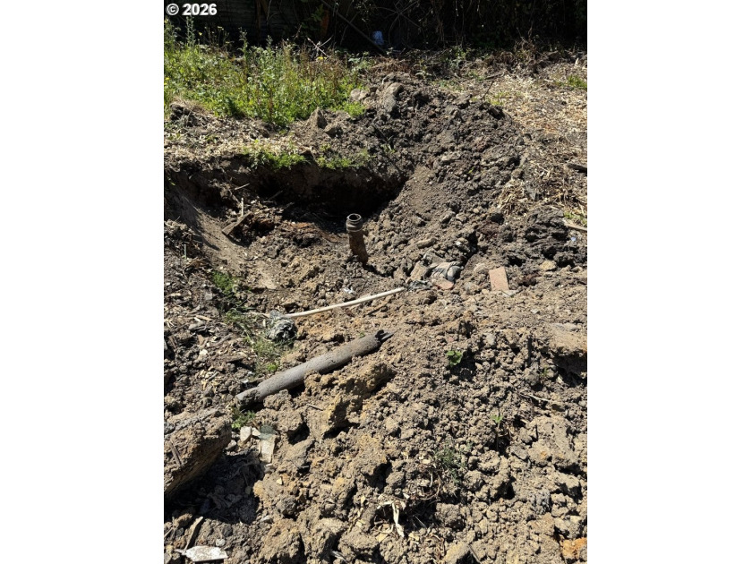 CONTRACTOR'S SPECIAL! IF YOU LOOKED UP POTENTIAL IN THE - photo 10