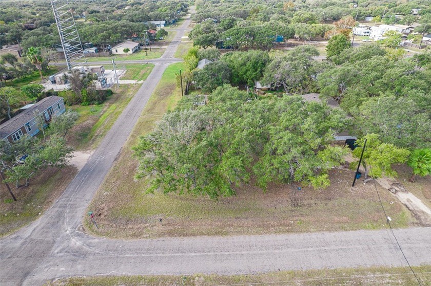 Two adjoining lots, including one corner lot, offering - photo 14