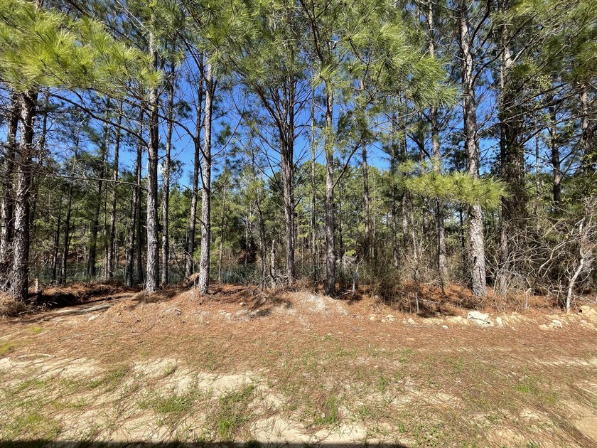 $6,000.00 in seller concessions being offered from the builder - photo 37