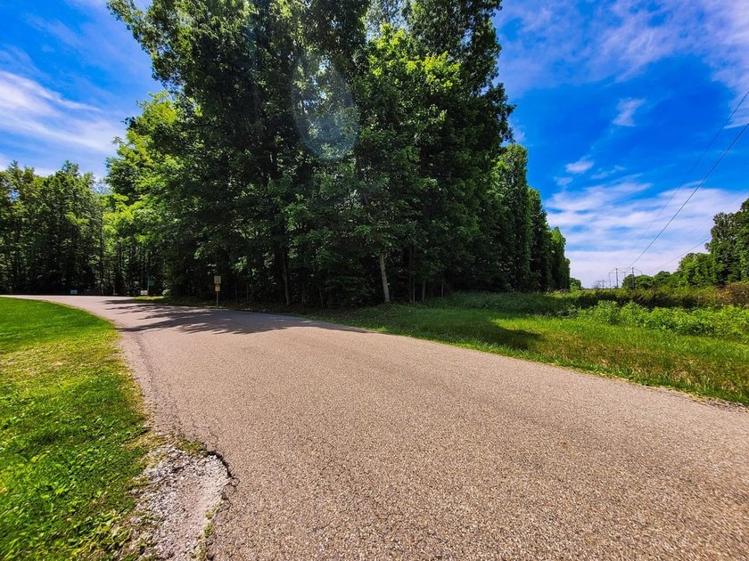Build your dream getaway or forever home on this beautiful 2.3 - photo 8