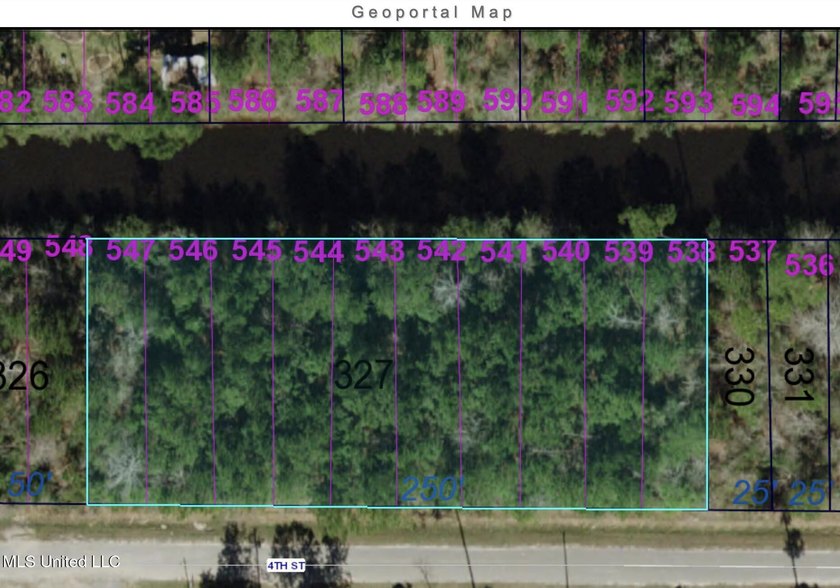 10 waterfront lots in Bayou Phillips Estate. Canal empties into - photo 3