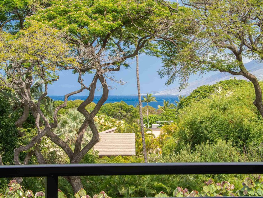 La'i Loa: Where Elevated Design Meets the Spirit of Wailea THIS - photo 19