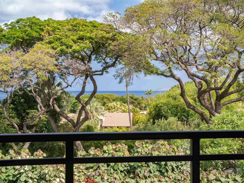 La'i Loa: Where Elevated Design Meets the Spirit of Wailea THIS - photo 28