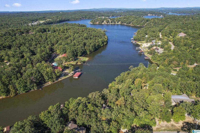 Have you been looking for a GORGEOUS LAKE HOME? VACATION - photo 41