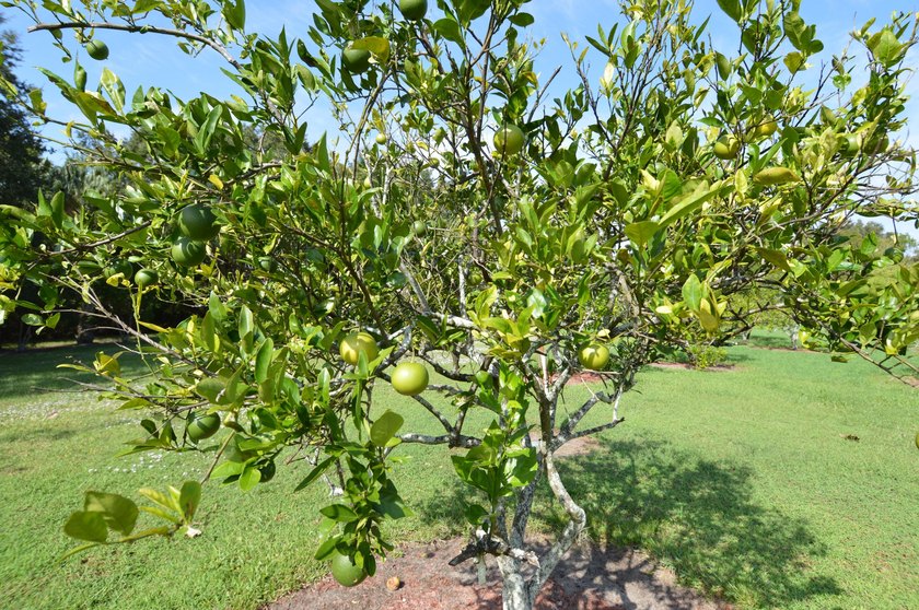 Enjoy waterfront living in this beautifully updated 2-bedroom - photo 42