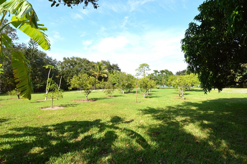 Enjoy waterfront living in this beautifully updated 2-bedroom - photo 43