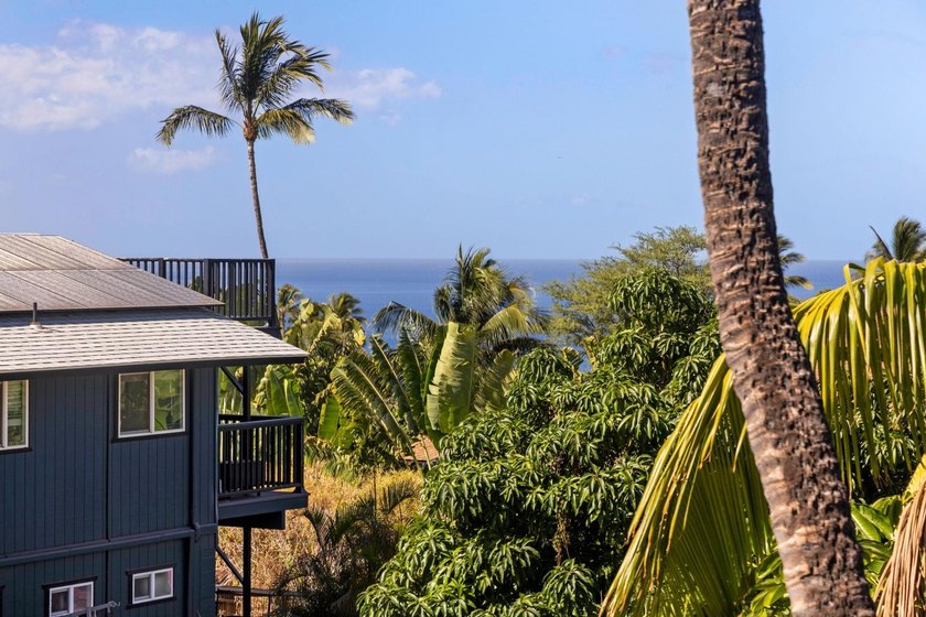 Discover one of Maui Meadows' hidden gems at the end of a quiet - photo 47