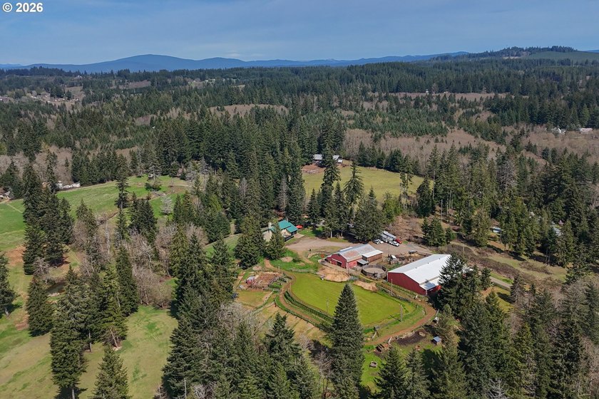 This truly unique property offers a rare combination of acreage - photo 38