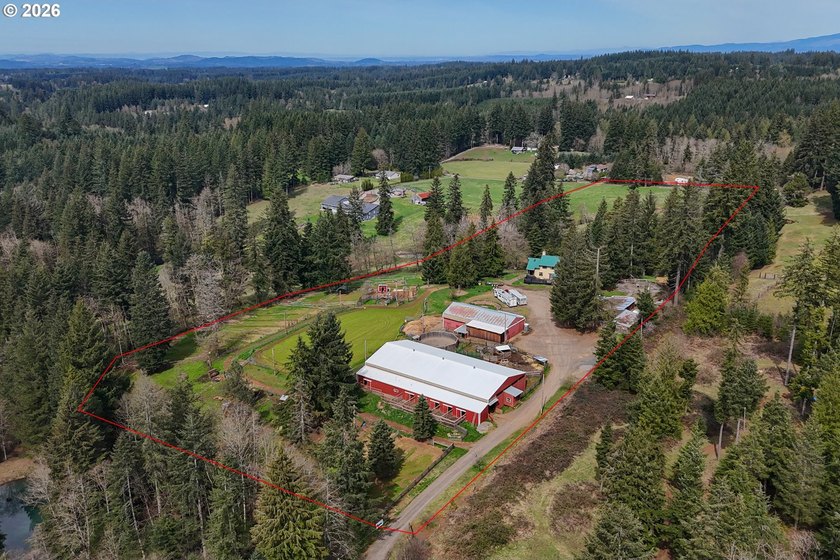 This truly unique property offers a rare combination of acreage - photo 40
